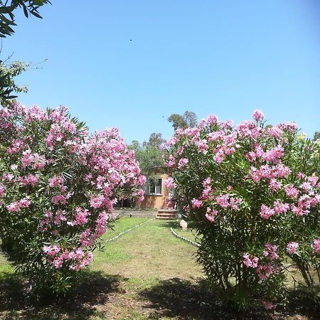 Villa Oliaトルトリ エクステリア 写真